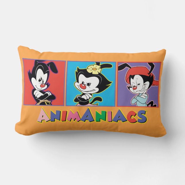 Animaniacs | Yakko, Dot, & Wakko Panel Graphic Lumbar Pillow (Front)