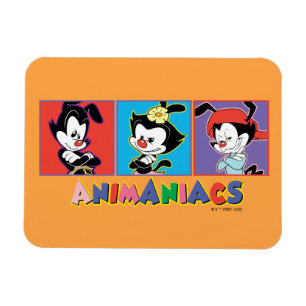 Animaniacs Yakko, Dot, & Wakko Panel Graphic Magnet