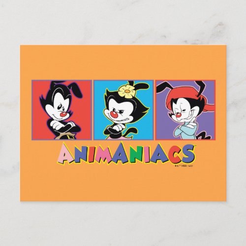 Animaniacs  Yakko Dot  Wakko Panel Graphic Postcard