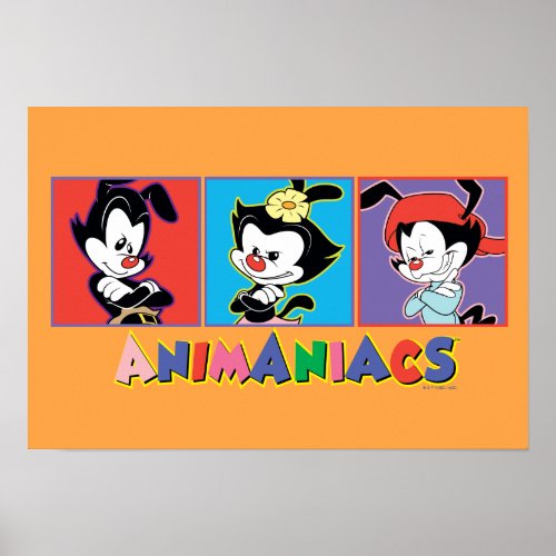Animaniacs  Yakko Dot  Wakko Panel Graphic Poster
