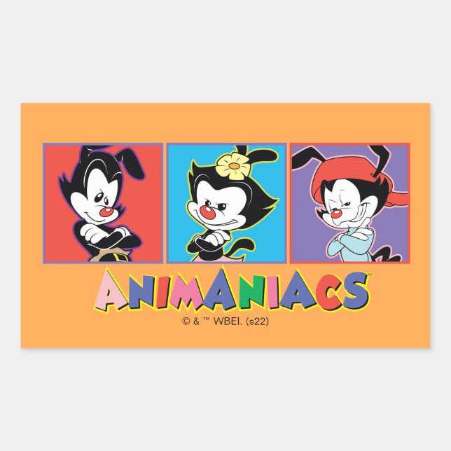 Animaniacs | Yakko, Dot, & Wakko Panel Graphic Rectangular Sticker (Front)