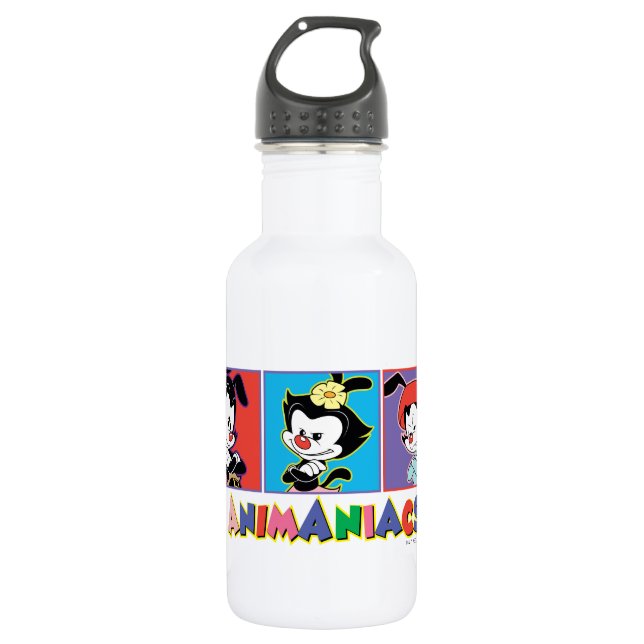Animaniacs | Yakko, Dot, & Wakko Panel Graphic Stainless Steel Water Bottle (Front)