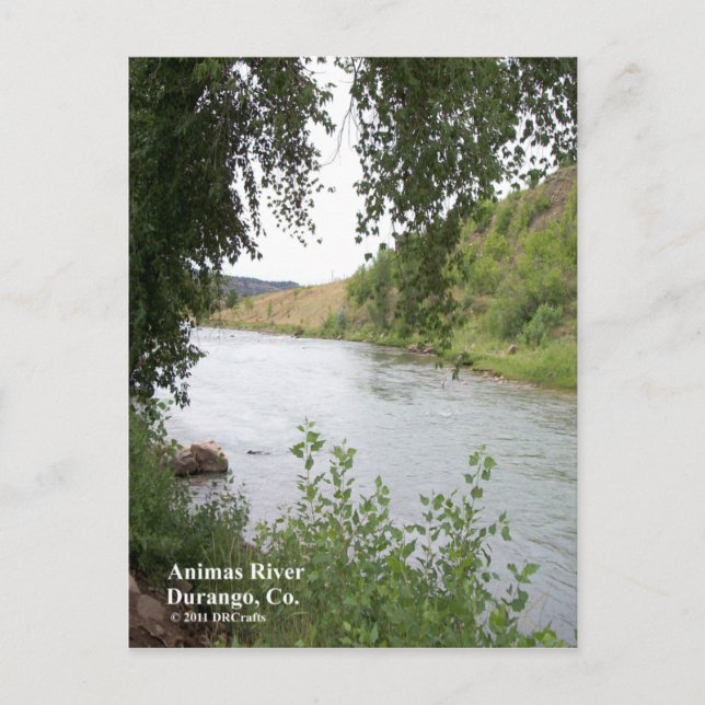 Animas River Postcard (Front)