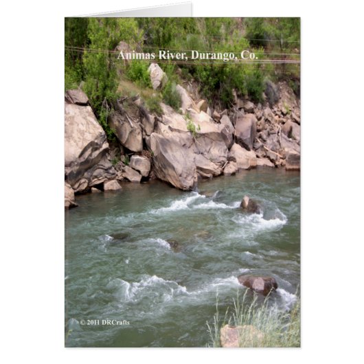 Animas River Rapids Cards (Front)