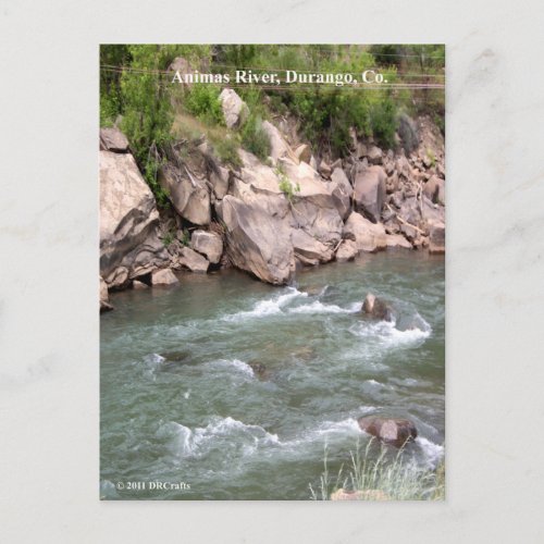 Animas River Rapids Postcard