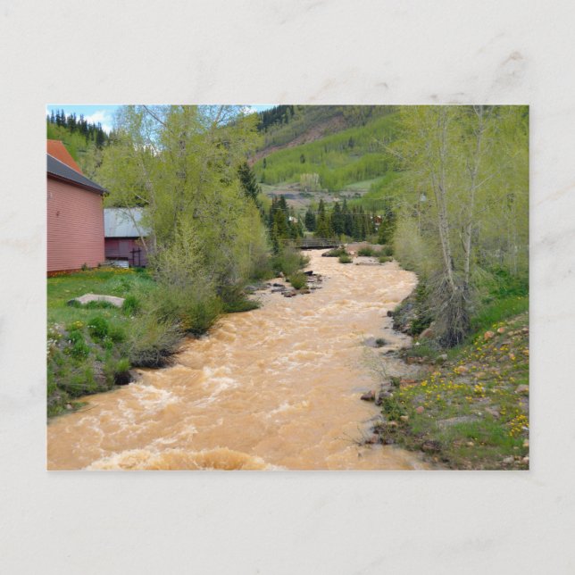 Animas River, Silverton, Colorado Postcard (Front)