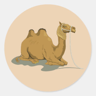 Animated Camel Classic Round Sticker