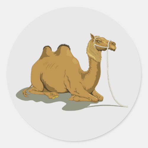 Animated Camel round sticker