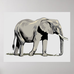 Animated Elephant Poster