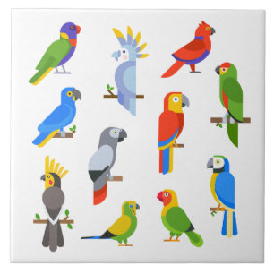Animated Parrots Background Ceramic Tile