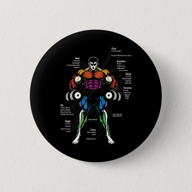Anime Anatomy Muscle Chart  Button (Front)