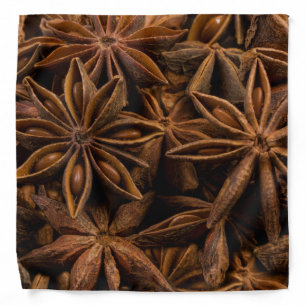 Anise Stars Pattern Bandana