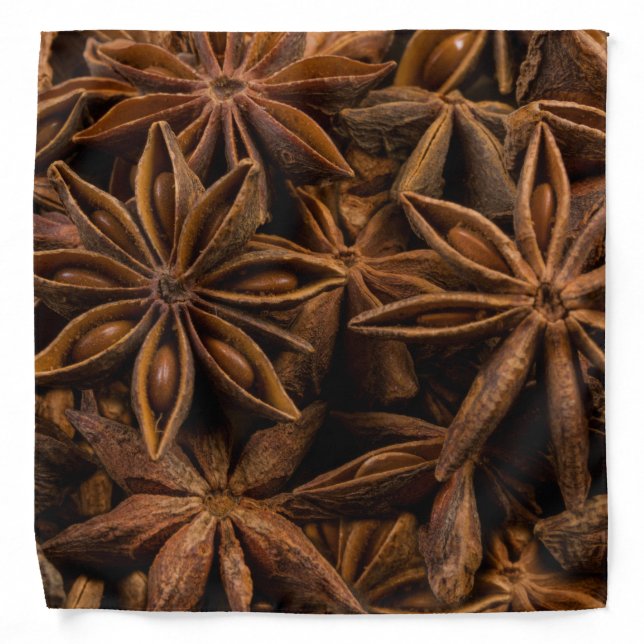 Anise Stars Pattern Bandana (Front)