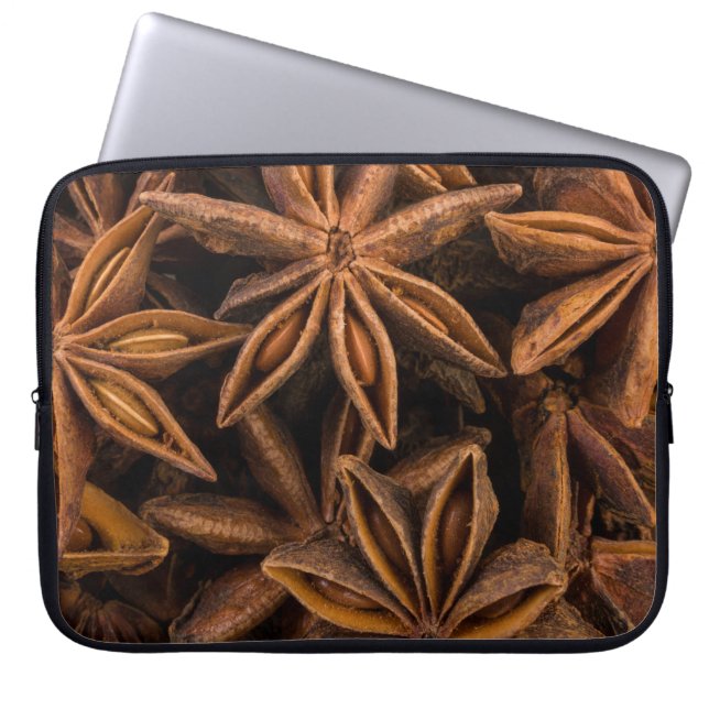 Anise Stars Pattern Laptop Sleeve (Front)