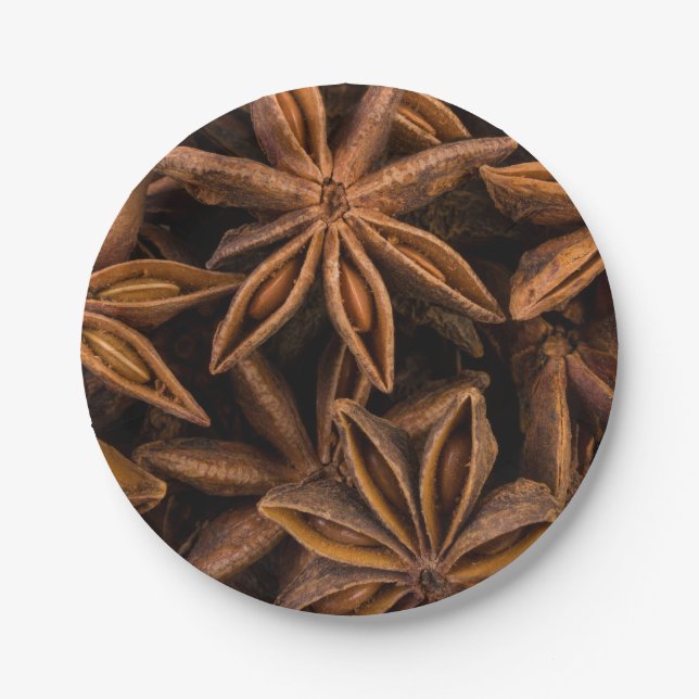 Anise Stars Pattern Paper Plates (Front)