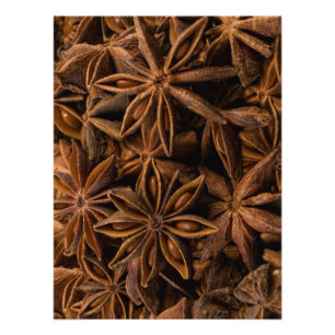 Anise Stars Pattern Photo Print