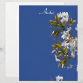 Anita Blossom Letterhead (Front/Back)