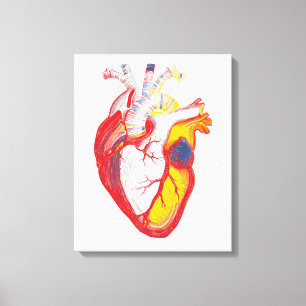 Anitomical Pop Heart Canvas Print