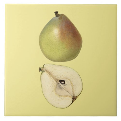 Anjou Pear Botanical Tile  Kitchen  Any Color 