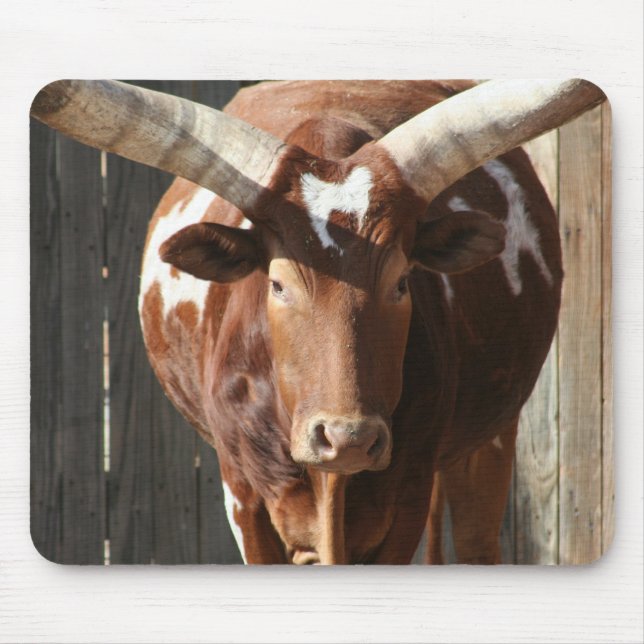 Ankole-Watusi Steer With Huge Horns Mousepad (Front)