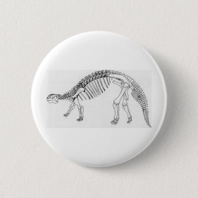 Ankylosaurus Pinback Button (Front)