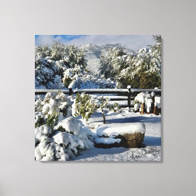 Ann Charles Snowy Day in Arizona Canvas Print (Front)