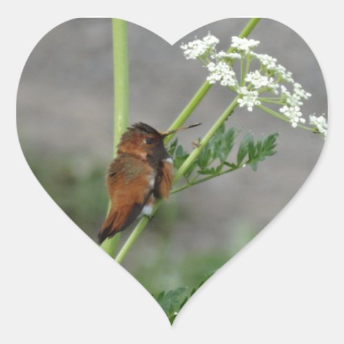 Anns Lace and bird Heart Sticker