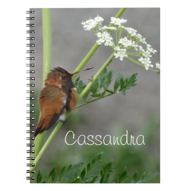 Ann"s Lace and bird Notebook (Front)