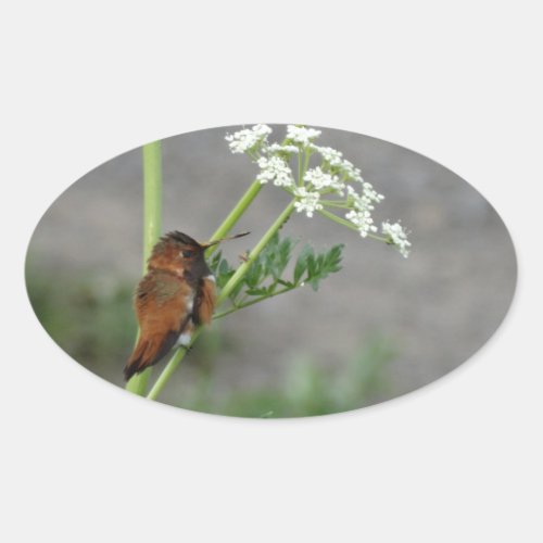 Anns Lace and bird Oval Sticker