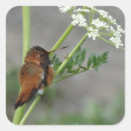 Anns Lace and bird Square Sticker