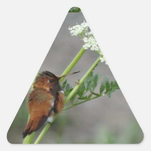 Anns Lace and bird Triangle Sticker