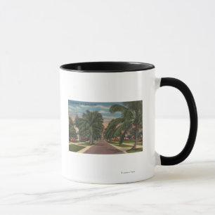 Anna Maria, Florida - View of Palms Along Street Mug