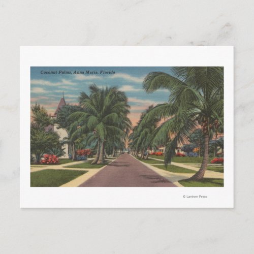 Anna Maria Florida _ View of Palms Along Street Postcard