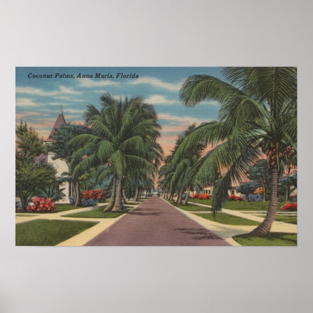 Anna Maria, Florida - View of Palms Along Street Poster (Front)