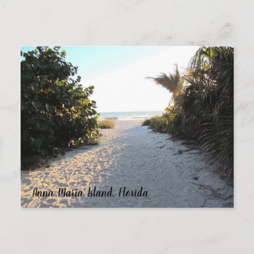 Anna Maria Island Florida _ beach _ sun Postcard