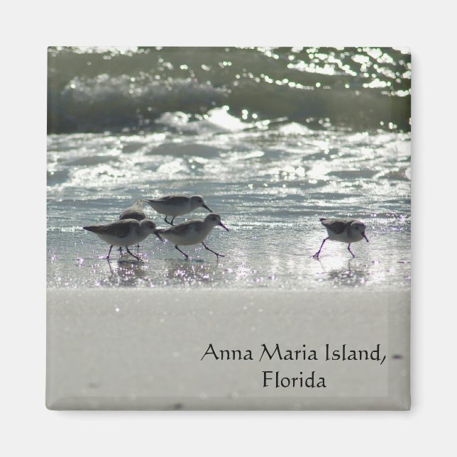 Anna Maria Island, Florida Magnet (Front)
