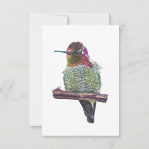 Anna’s Hummingbird Postcard-Style Note Card