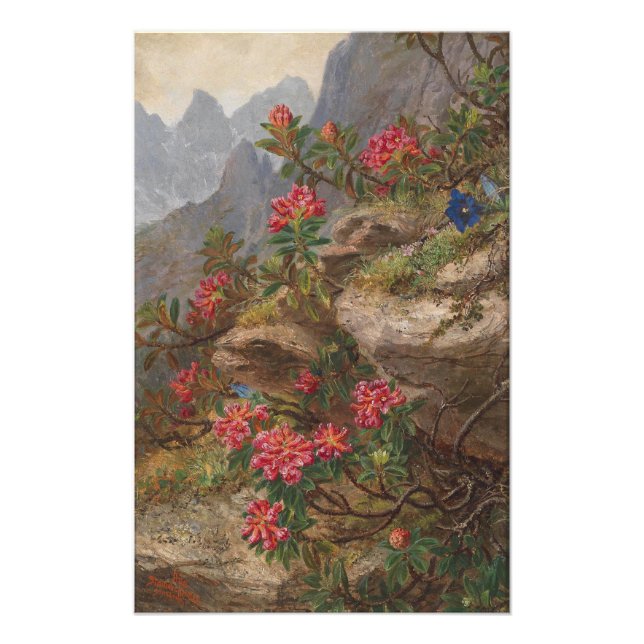 Anna Stainer-Knittel Vintage Alpine Flowers Photo Print (Front)