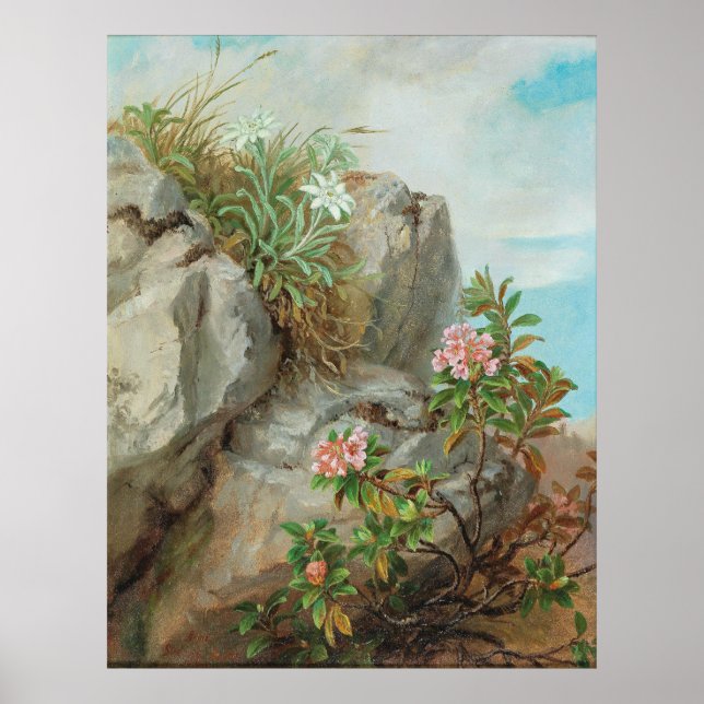 Anna Stainer-Knittel Vintage Alpine Roses Poster (Front)