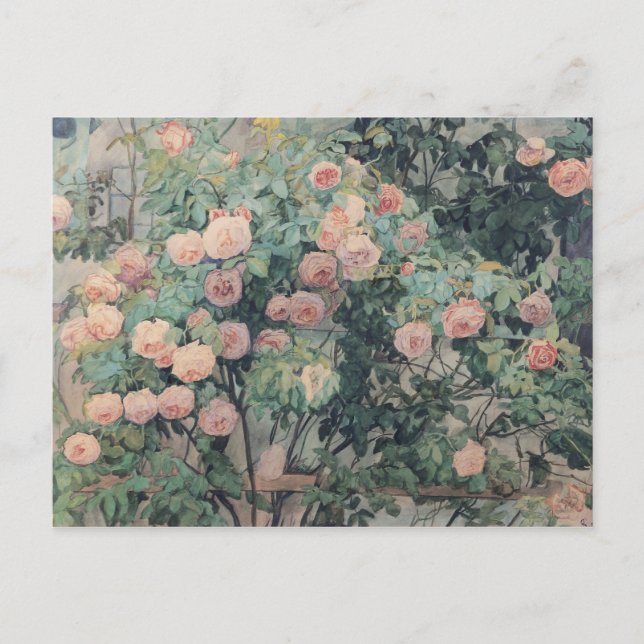 Anna Syberg Vintage Roses Postcard (Front)