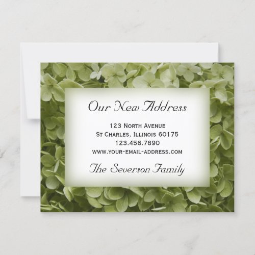 Annabelle Hydrangea Flower New Address Announcement