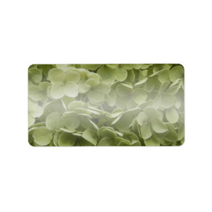 Annabelle Hydrangea Flowers Label