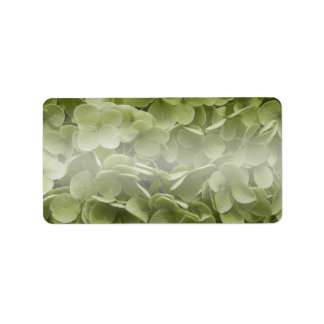 Annabelle Hydrangea Flowers Label