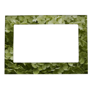 Annabelle Hydrangea Magnetic Frame