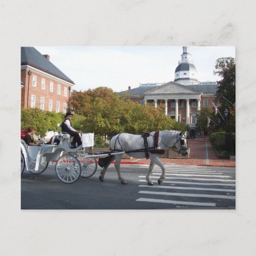 Annapolis Horse and Carriage Ride Postcard