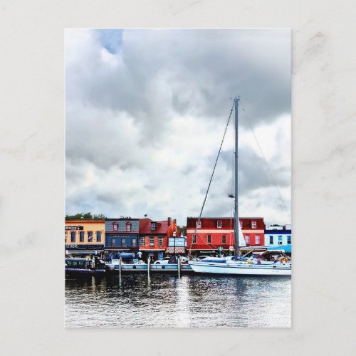 Annapolis Md _ City Dock Postcard