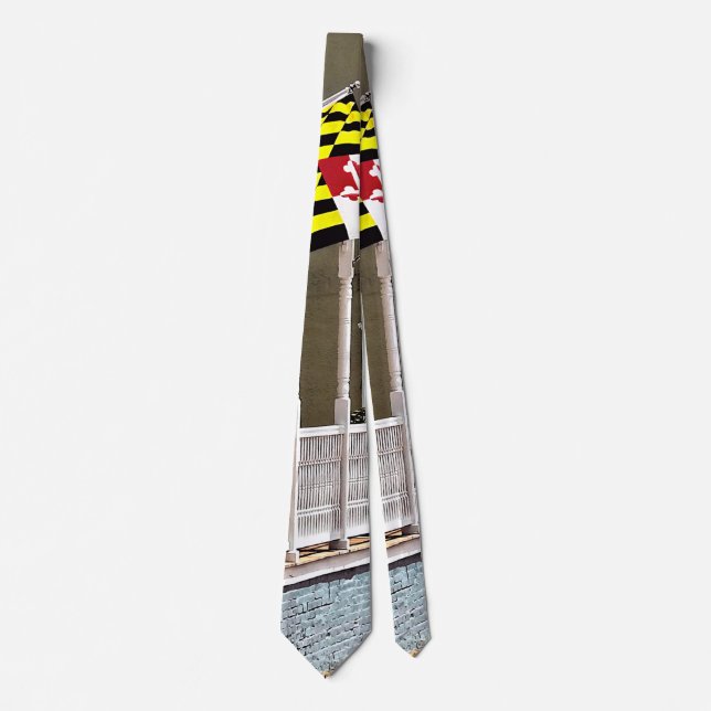 Annapolis MD - Flags Along East Street Neck Tie (Front)
