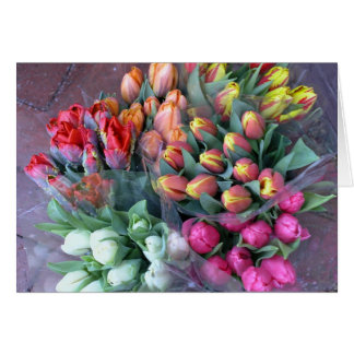 Annapolis Tulips Cards