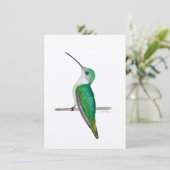 Anna's Hummingbird (Standing Front)