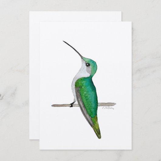 Anna's Hummingbird (Front/Back)